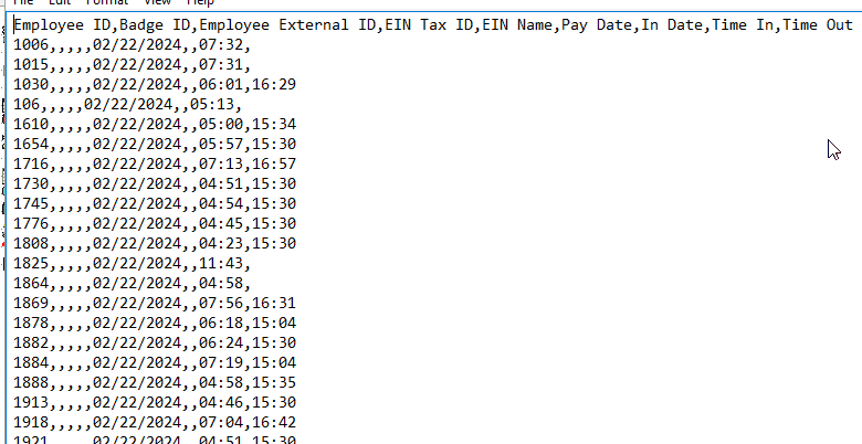 Punch Details Report Example